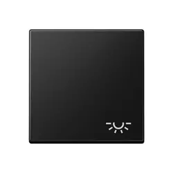 JUNG Wippe symbol Licht A-range graphitschwarz matt (A 590 L SWM)
