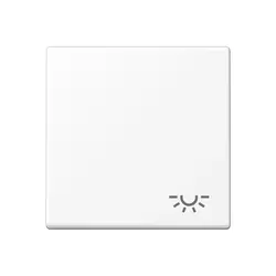 JUNG Wippe symbol Licht A-range schneeweiß matt (A 590 L WWM)