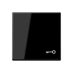 JUNG Wippe symbol Schlüssel A-range schwarz glänzend (A 590 T SW)