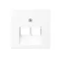 Zentralplatte 2-fach für RJ45 Netzwerk-Anschlussdose A-range schneeweiß matt (A 569-2 BFPLUA WWM)