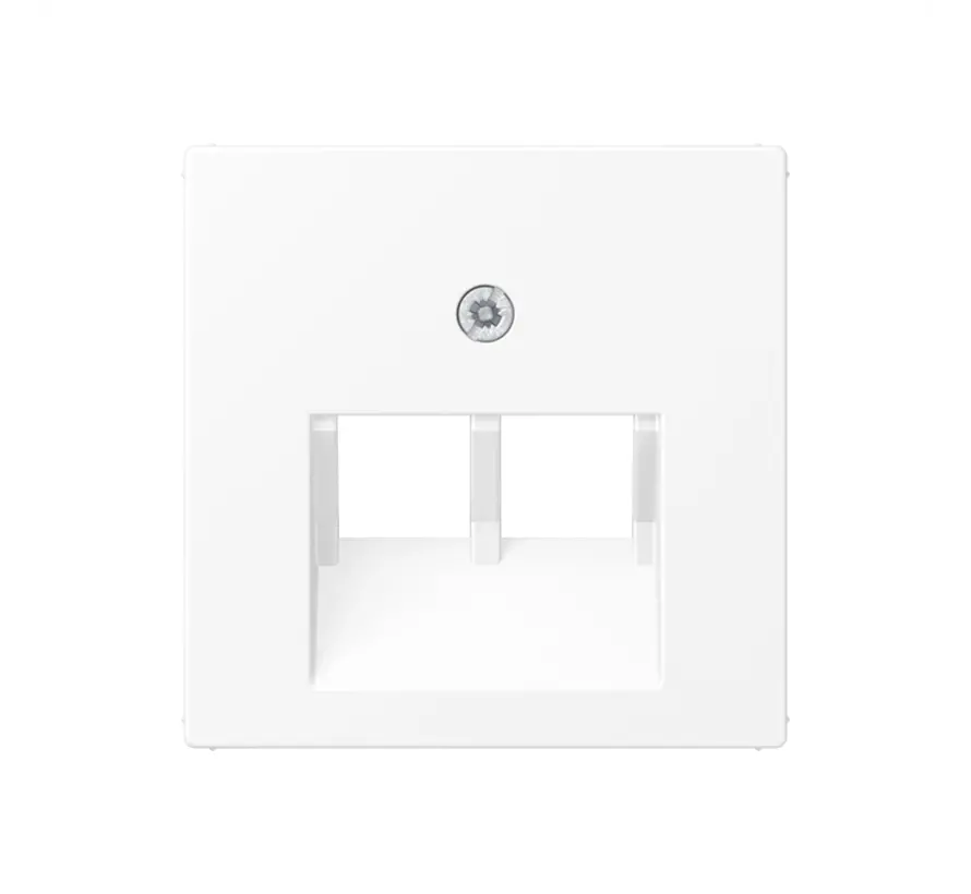 Zentralplatte 2-fach für RJ45 Netzwerk-Anschlussdose A-range schneeweiß matt (A 569-2 BFPLUA WWM)