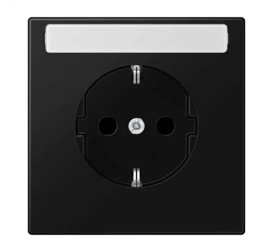 Schuko-Steckdose Beschriftungsfeld ohne Befestigungskrallen LS990 graphitschwarz matt (LS 1520 NNA SWM)