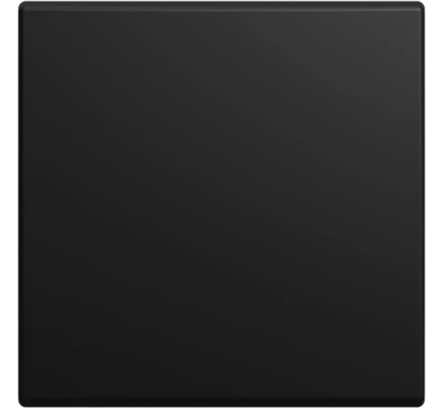 Wippe 1-fach Balance SI schwarz matt (2506-915)