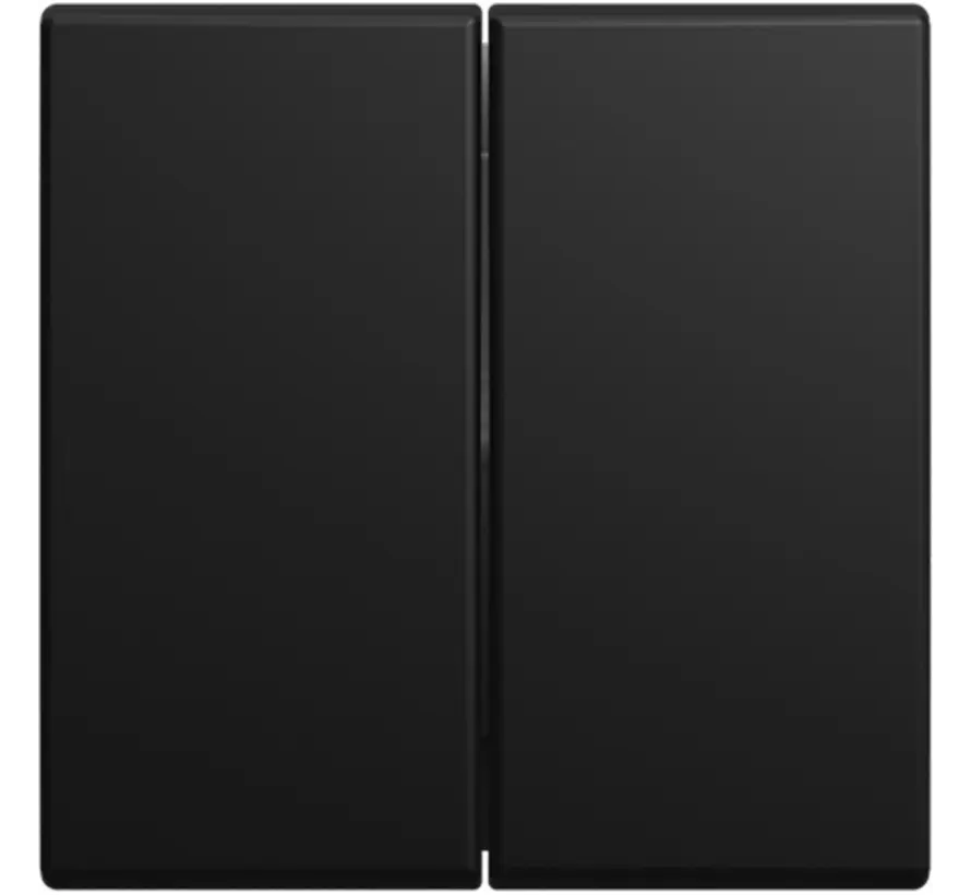 Wippe 2-fach Balance SI schwarz matt (2505-915)