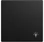 Wippe symbol Licht Balance SI schwarz matt (2520 LI-915)