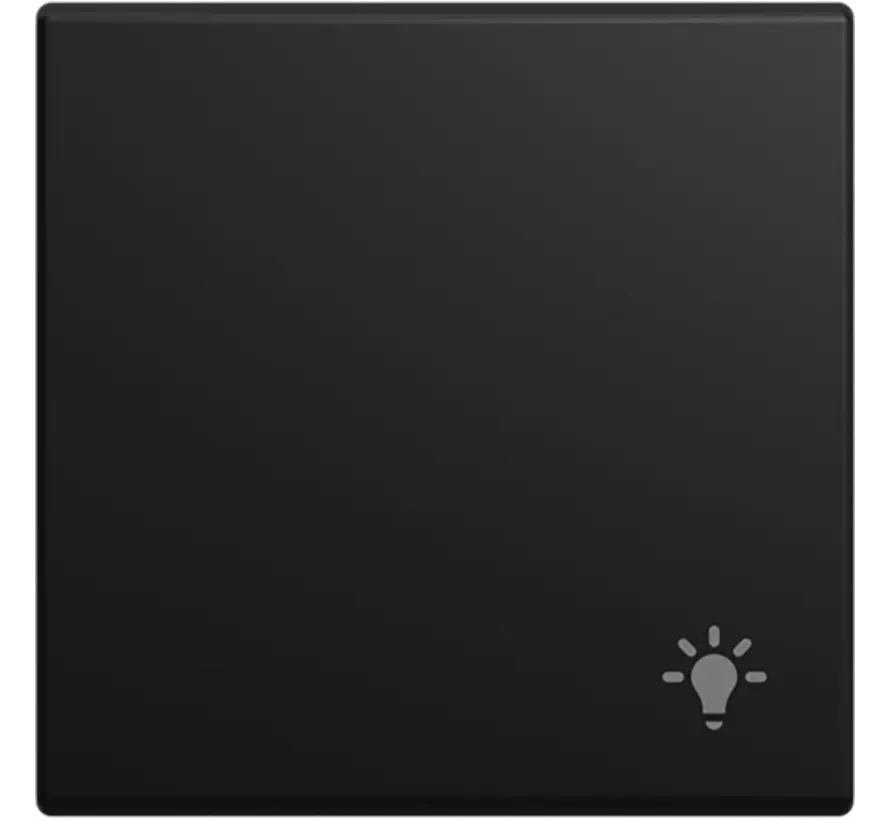 Wippe symbol Licht Balance SI schwarz matt (2520 LI-915)