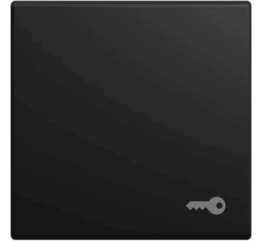 Wippe symbol Schlüssel Balance SI schwarz matt (2520 TR-915)