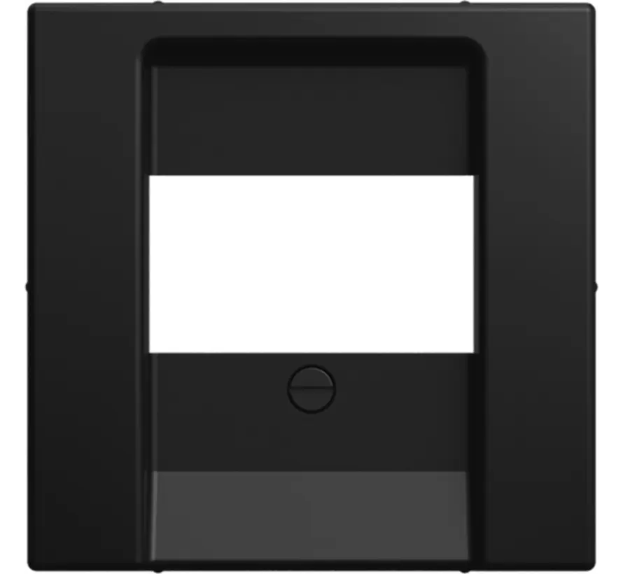 Zentralplatte USB / Lautsprecher Balance SI schwarz matt (2539-915)