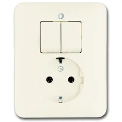 Busch-Jaeger Kombination Serienschalter/Schuko-Steckdose SI (4310/5 EUJ-212-503)