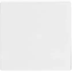 Busch-Jaeger Wippe Future Linear studioweiß glänzend (1786-84)