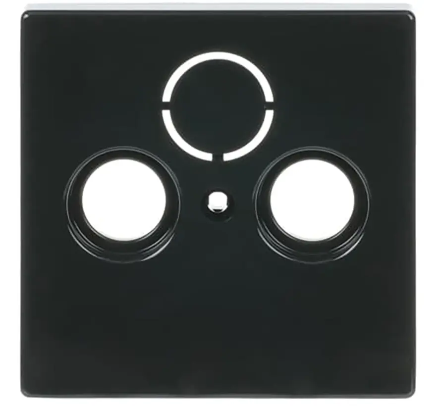 Zentralplatte Antennen / Koaxial Steckdose Future Linear anthrazit glänzend (1743-81)