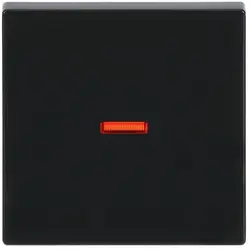 Busch-Jaeger Wippe Kontrollfenster rot Future Linear anthrazit glänzend (1789-81)