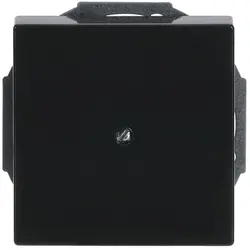 Busch-Jaeger Zentralplatte Leitungsauslass mit Tragplatte anthrazit glänzend (1749-81)