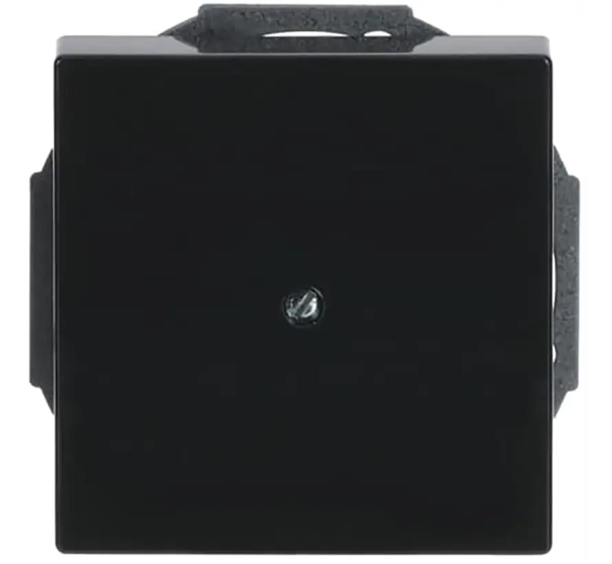 Zentralplatte Leitungsauslass mit Tragplatte anthrazit glänzend (1749-81)