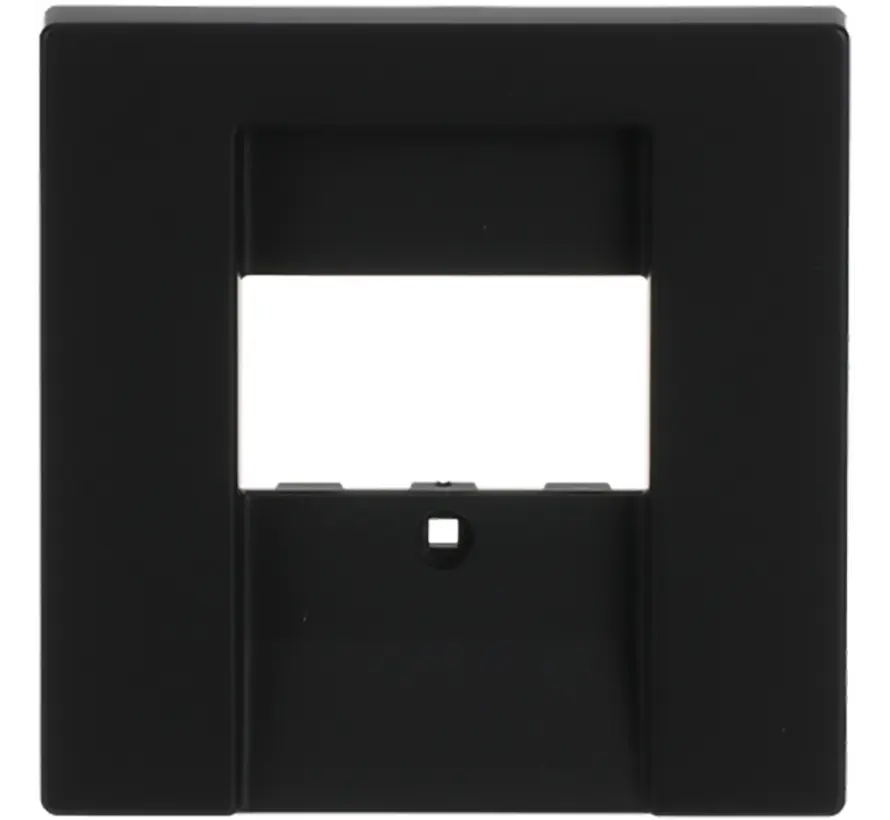 Zentralplatte USB / Lautsprecher schwarz matt (1766-885)