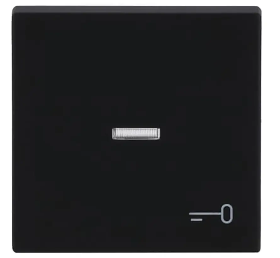 Wippe Kontrollfenster symbol Tür Future Linear schwarz matt (1789 TR-885)