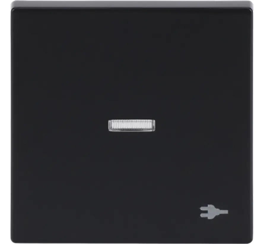 Wippe Kontrollfenster symbol Stecker Future Linear anthrazit glänzend (1789 ST-81)