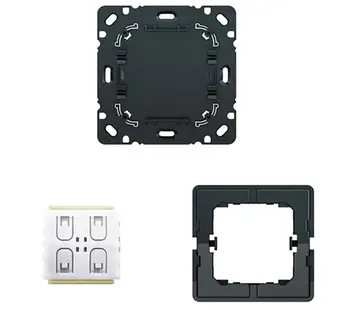 Busch-Jaeger Friends of Hue smart switch Einsatz Wandsender 2-Kanal Future Linear (6716 U-500)