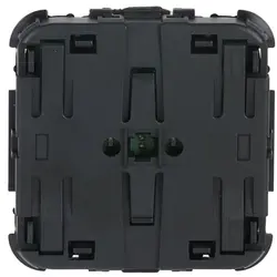 Busch-Jaeger Bedienelement flex mit Orientierungslicht 2-fach (64721)