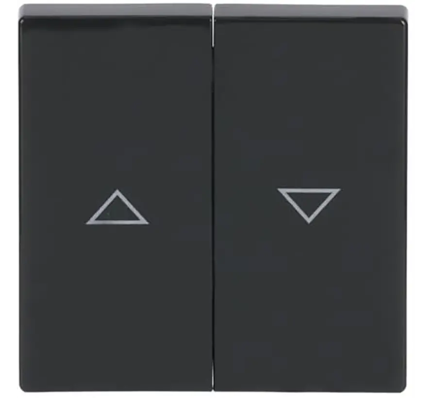 Wippe Jalousieschalter 2-fach anthrazit glänzend (1785 JA-81)