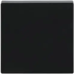 Busch-Jaeger Wippe Future Linear anthrazit glänzend (1786-81)