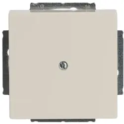 Busch-Jaeger Zentralplatte mit Tragplatte creme (1742-82)