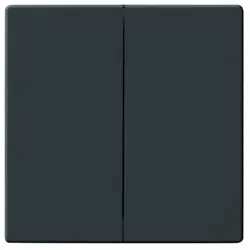 Busch-Jaeger Wippe 2-fach Future Linear anthrazit glänzend (1785-81)