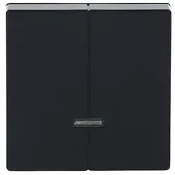 Busch-Jaeger Dimmerbedienaufsatz Tastdimmer 2-fach mit Kontrollfenster Future Linear anthrazit glänzend (6545-81)