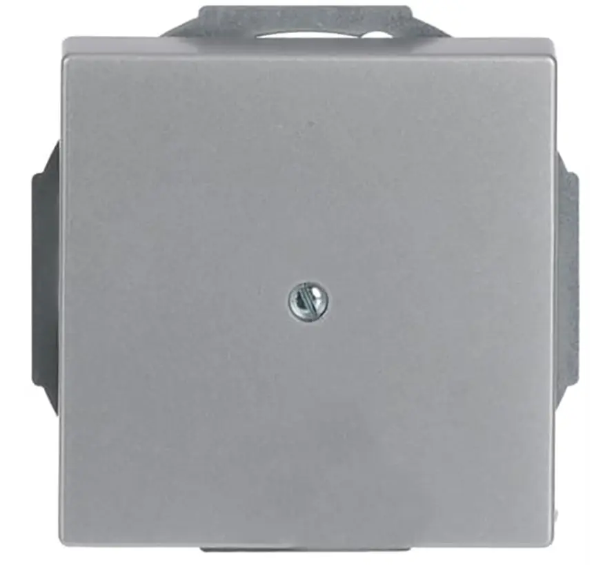 Zentralplatte Leitungsauslass mit Tragplatte alusilber matt (1749-83)