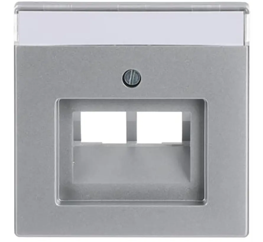 Zentralplatte RJ45 Netzwerk-Anschlussdose 2-fach alusilber matt (1803-02-83)