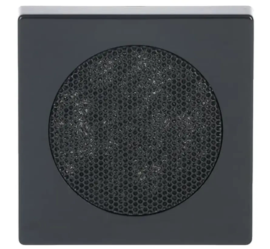 Zentralplatte für Lautsprecher Future Linear anthrazit glänzend (8253-81)
