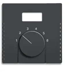 Busch-Jaeger Zentralplatte für einbau Thermostat mit Bildschirmöffnung Future Linear schwarz matt (1794 TA-885)