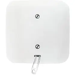 Busch-Jaeger Zugschalter mit Vollplatte für Einzelmontage Reflex SI (2610/6 UJ-214)