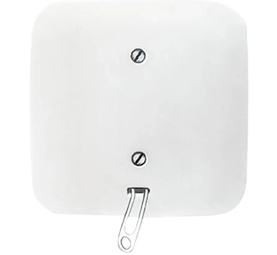 Zugschalter mit Vollplatte für Einzelmontage Reflex SI (2610/6 UJ-214)