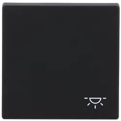 Busch-Jaeger Wippe symbol Licht Future Linear schwarz matt (2520 LI-885)
