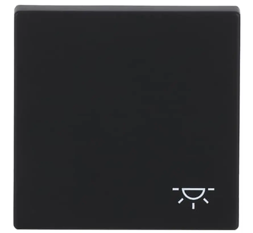 Wippe symbol Licht Future Linear schwarz matt (2520 LI-885)