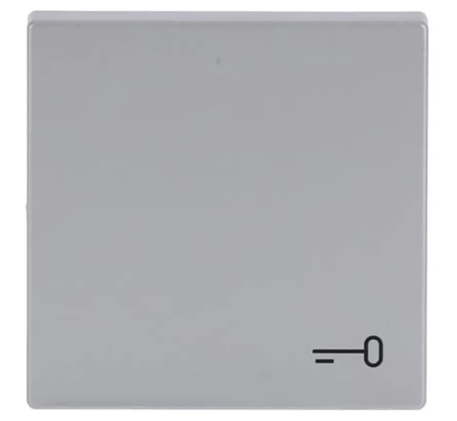 Wippe symbol Tür Future Linear alusilber (2520 TR-83)