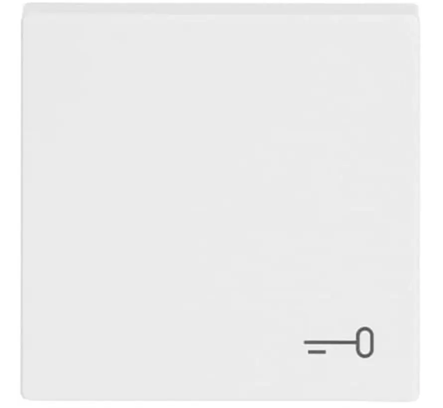 Wippe symbol Tür Future Linear studioweiß glänzend (2520 TR-84)