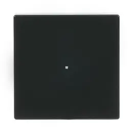 Busch-Jaeger Wippe 1-fach für Bedienaufsatz flex 1-fach Future Linear anthrazit glänzend (6230-10-81)