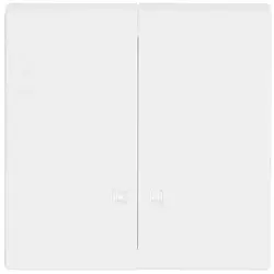 Busch-Jaeger Wippe 2-fach mit Kontrollfenster Future Linear studioweiß glänzend (1785 K-84)