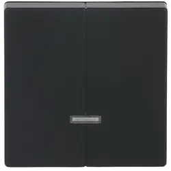 Busch-Jaeger Dimmerbedienaufsatz Tastdimmer 2-fach Future Linear schwarz matt (6545-885)