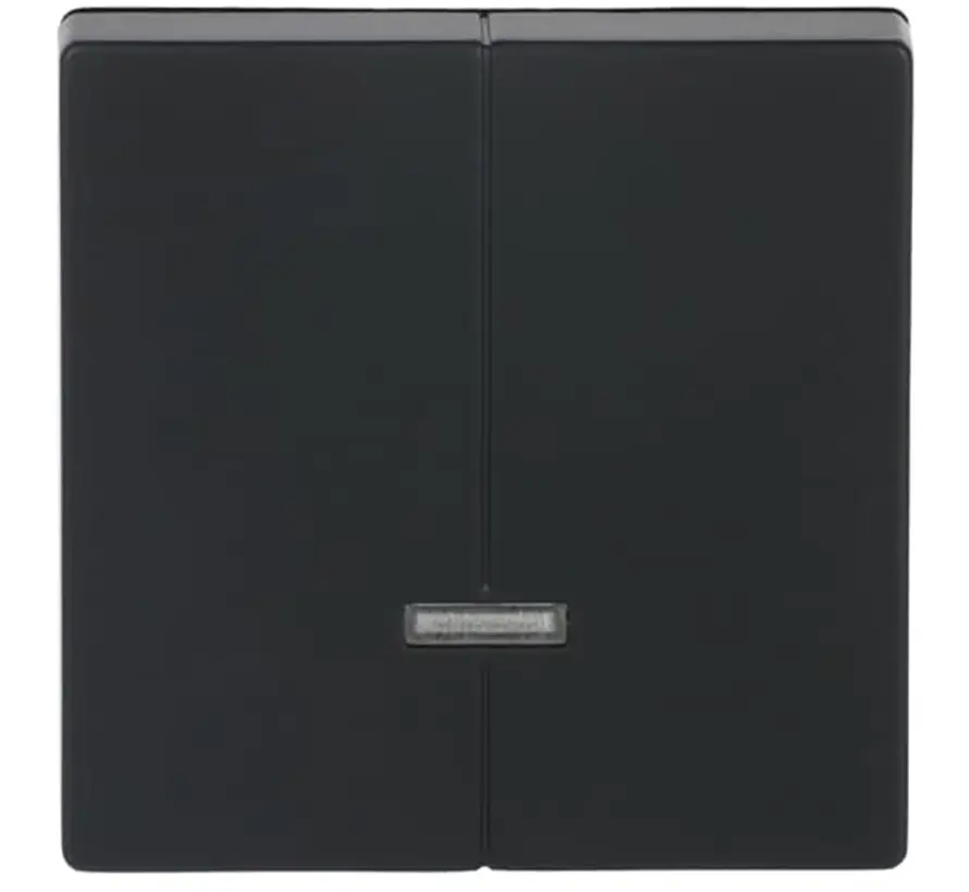 Dimmerbedienaufsatz Tastdimmer 2-fach Future Linear schwarz matt (6545-885)