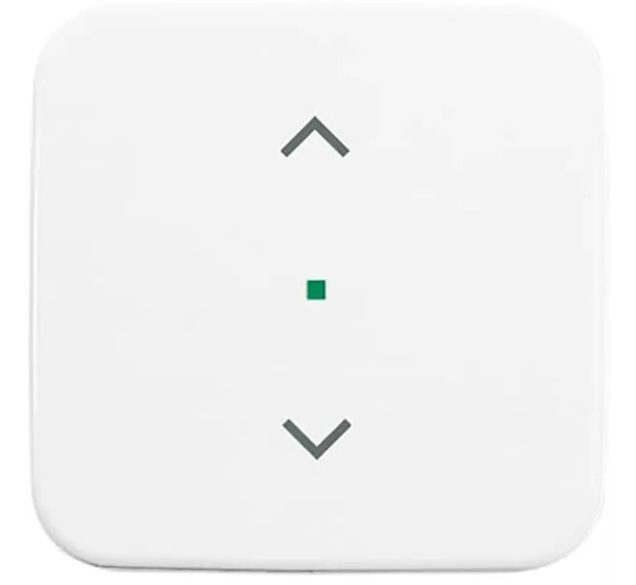 Wippe 1-fach mit Pfeilsymbole für Bedienaufsatz flex Reflex SI (6232-10-214)