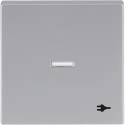 Busch-Jaeger Wippe Kontrollfenster symbol Stecker Future Linear alusilber (1789 ST-83)