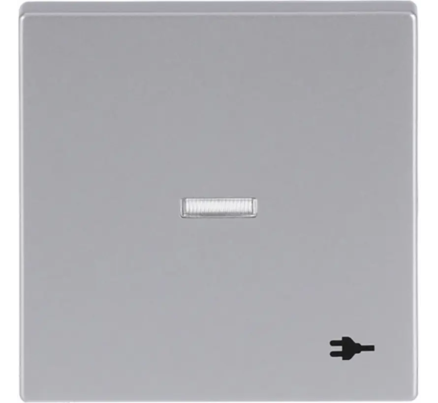 Wippe Kontrollfenster symbol Stecker Future Linear alusilber (1789 ST-83)