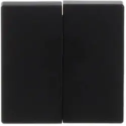 Busch-Jaeger Wippe 2-fach Future Linear schwarz matt (1785-885)