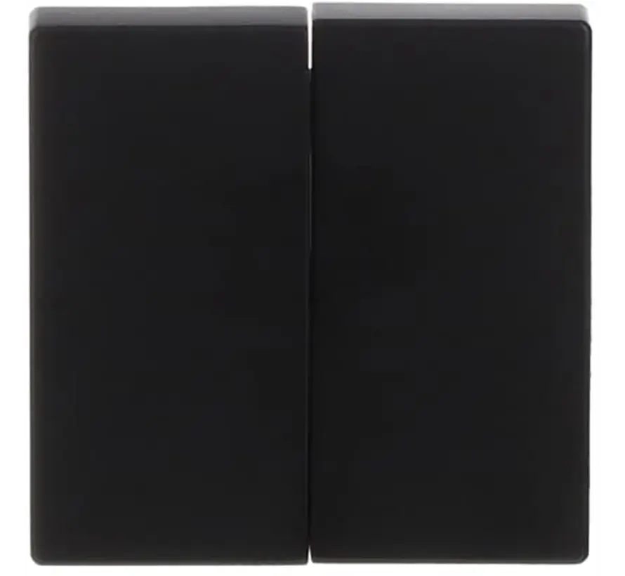 Wippe 2-fach Future Linear schwarz matt (1785-885)