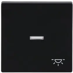 Busch-Jaeger Wippe Kontrollfenster symbol Licht Future Linear schwarz matt (1789 LI-885)