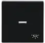 Wippe Kontrollfenster symbol Licht Future Linear schwarz matt (1789 LI-885)