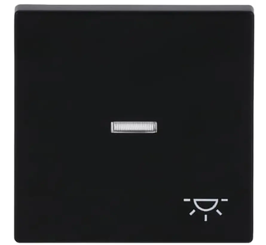 Wippe Kontrollfenster symbol Licht Future Linear schwarz matt (1789 LI-885)